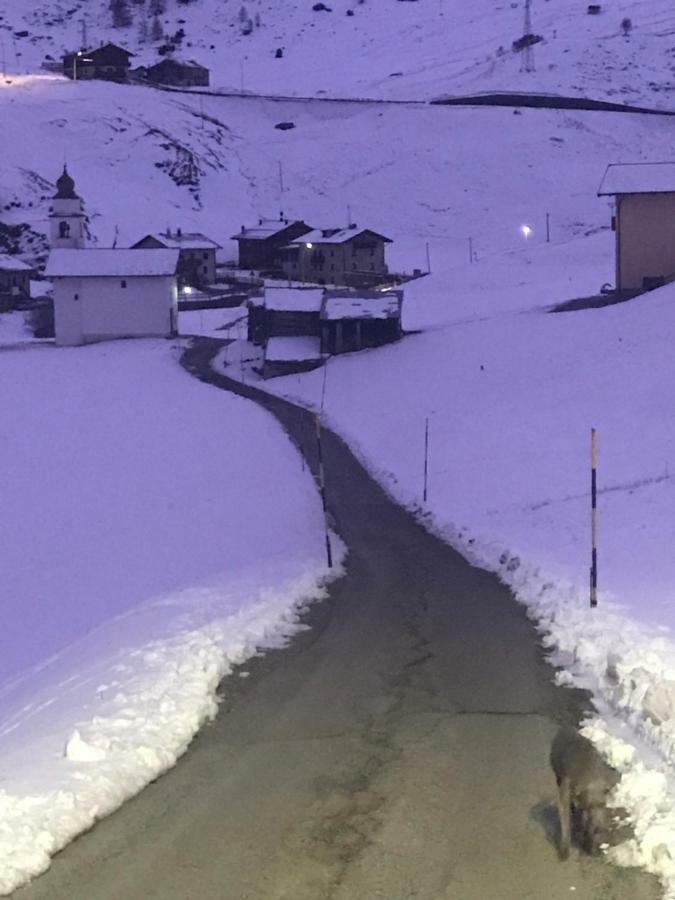 Baita Mattia Livigno Dış mekan fotoğraf